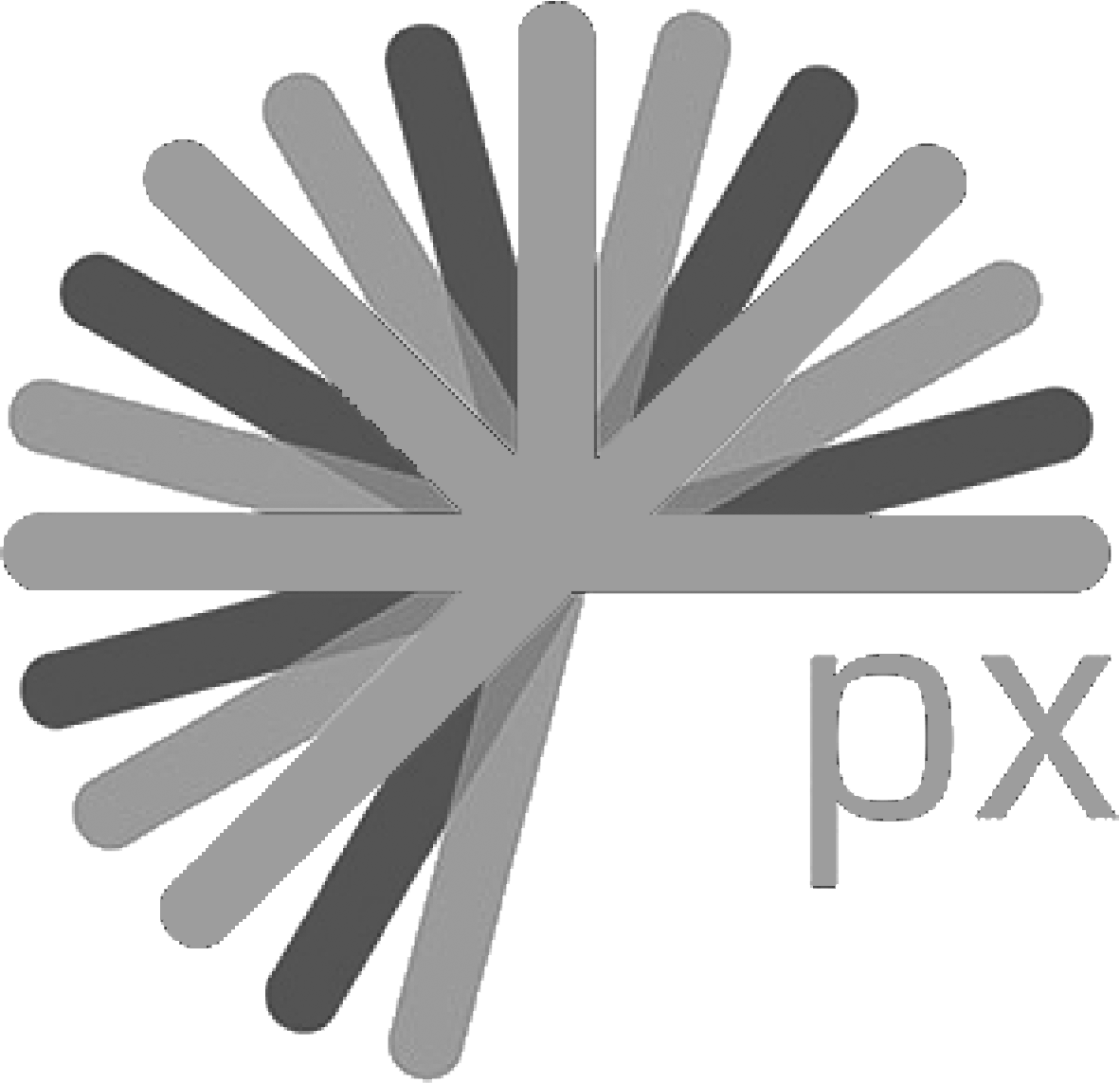 PX Ltd Logo