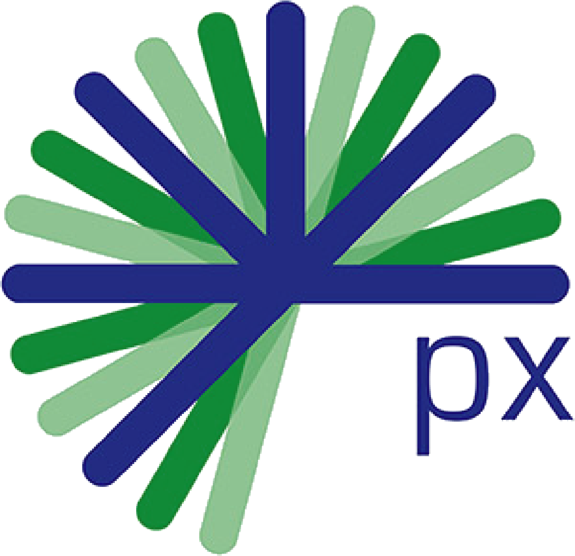 PX Ltd Logo